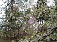  dscf0939.jpg 