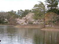  dscf0940.jpg 