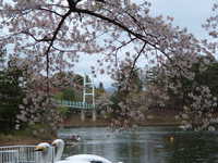  dscf0941.jpg 