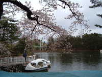  dscf0942.jpg 