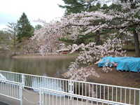  dscf0944.jpg 