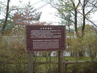  dscf0946.jpg 