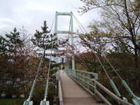  dscf0949.jpg 