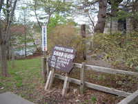  dscf0950.jpg 