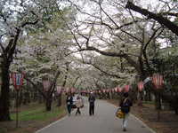  dscf0953.jpg 