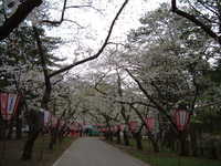  dscf0954.jpg 