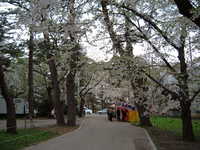  dscf0955.jpg 