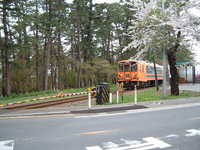  dscf0956.jpg 