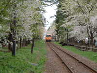  dscf0959.jpg 