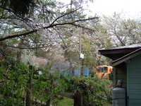  dscf0963.jpg 