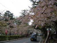  dscf0966.jpg 