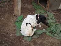  dscf0967.jpg 