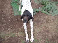  dscf0968.jpg 