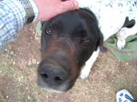  dscf0969.jpg 