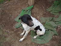  dscf0970.jpg 
