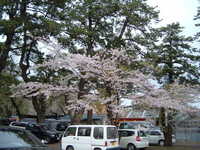  dscf0971.jpg 