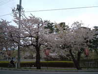 dscf0972.jpg 