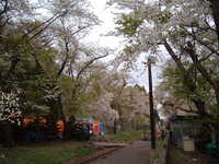  dscf0973.jpg 