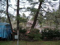  dscf0975.jpg 