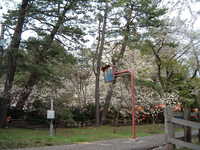  dscf0977.jpg 