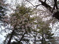  dscf0978.jpg 