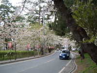  dscf0986.jpg 