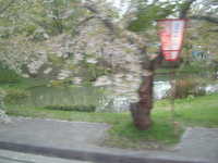  dscf0988.jpg 