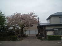  dscf0989.jpg 