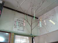  dscf0991.jpg 