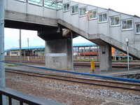 dscf1010.jpg 