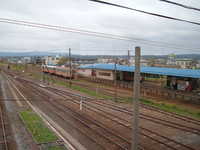  dscf1013.jpg 