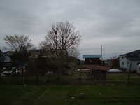  dscf1034.jpg 