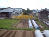  dscf1035.jpg 