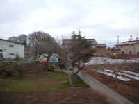  dscf1036.jpg 