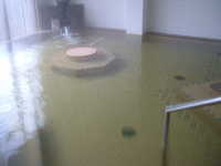  dscf0099.jpg 