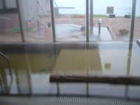  dscf0100.jpg 