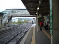  dscf0117.jpg 