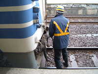  dscf0121.jpg 