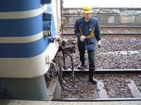  dscf0122.jpg 