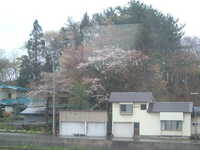  dscf0164.jpg 
