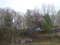  dscf0166.jpg 