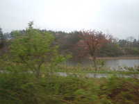  dscf0168.jpg 