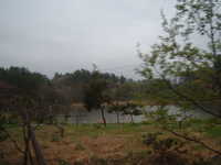  dscf0169.jpg 