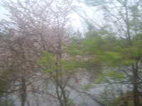  dscf0170.jpg 