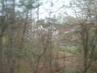 dscf0172.jpg 