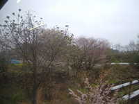  dscf0173.jpg 
