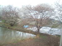  dscf0175.jpg 