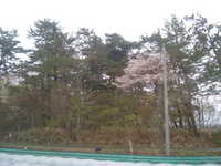  dscf0178.jpg 