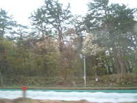  dscf0179.jpg 