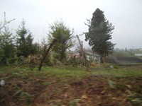  dscf0180.jpg 